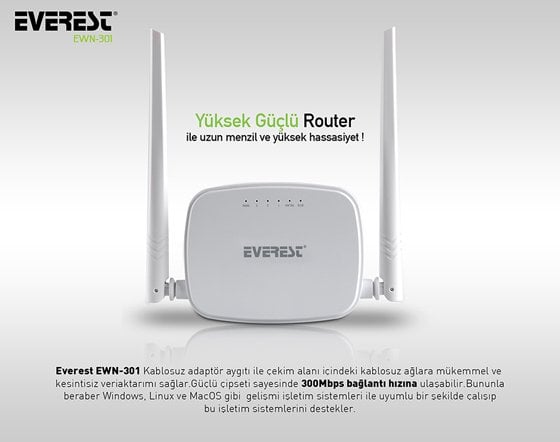 Everest EWR-301 Access Point ROuter