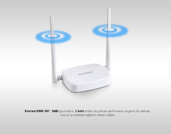 Everest EWR-301 Access Point ROuter