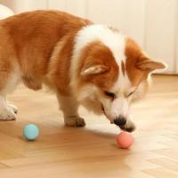 Kışkırtmalı Böcek Sesli Yumuşak Kedi Köpek Oyun ve Eğlence Topu