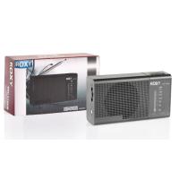 ROXY RXY-170FM CEP TİPİ MİNİ ANALOG RADYO